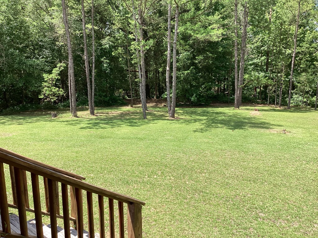 From porch to back yard